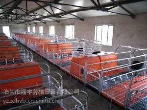 自动化养猪设备自动化上料系统漏粪板耐腐蚀易冲洗