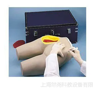 肌肉注射模型——臂部以及大腿 LF00961U