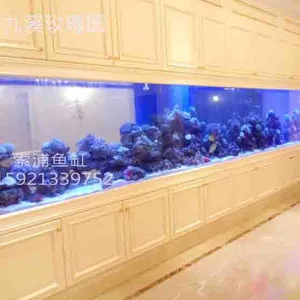 杭州索浦鱼缸承接大型超白玻璃观赏珊瑚鱼缸 镶嵌式墙内海水水族箱
