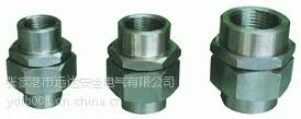太原大同阳泉长治远达防爆公司供应防爆防腐活接头