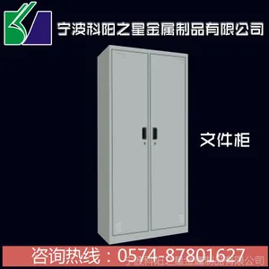 专业生产 宁波铁皮文件柜 多款可选