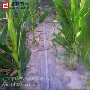 厂家推销滴灌微喷系统