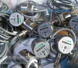 蓝田恒远防垢型流量开关TCS-K