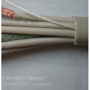 小猫*** TVR电动葫芦专用电缆