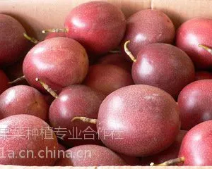 海南百香果价格