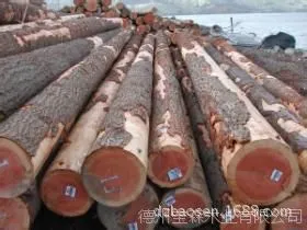 批发大径云杉 各种规格民用板材 质量可靠 售后可信 放心购买