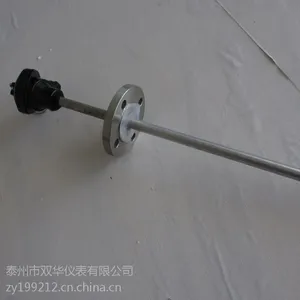 316L防腐热电阻 WZPF-130 Pt100 双华供应