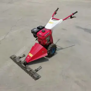 ԰�ּ��ݻ� ����ʽ���ݻ� ������