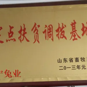 山西省哪里有好品种长毛兔