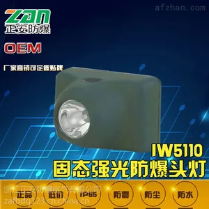 IW5110固态泛光防爆头灯/IW5110厂家