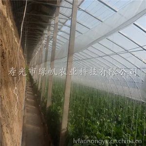 ��Ӧ���͸���ǽ�߲˴��� ��ůʽ�չ�����