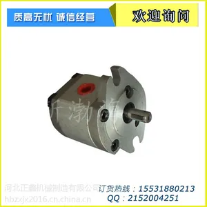 河北齿轮泵厂家 CBt-E 308扁键 侧出油液压齿轮泵厂家