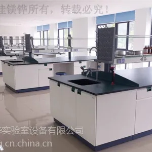 实验台 全木/全钢/钢木/不锈钢/PP实验台 广州实验台真正生产厂家非中介