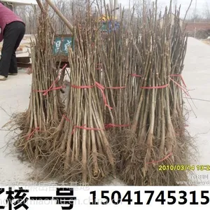 �ػ��У��ɺ�һ�ţ�������***�������������¡����ľ���ع�Ӧ��