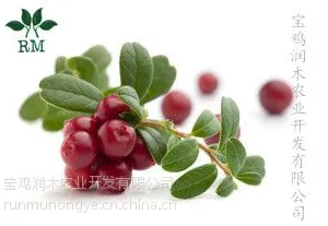 宝鸡润木 供应 蔓越莓提取物 蔓越橘提取物 原花青素1%-50%
