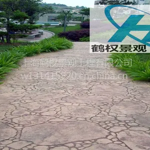 沂州市彩色混凝土压花地坪、压模地坪、厂家直销、特价