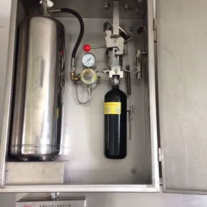 上海隆安镇火龙