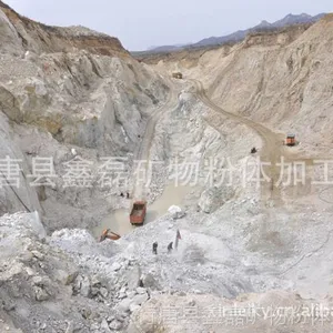 ��Ӧ�ظƣ�̼���