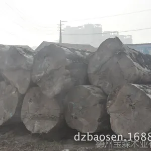 �������ڴ���ɼ ���ֿھ�  ���ֹ���Ŀɶ��� �����ŵ�