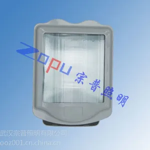 GT002防水防尘防震泛光灯