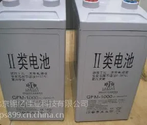 ����˫�����ش�����2V3000AH˫�ǹ�����Ȩ����˫��***