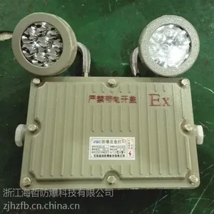 BAJ52防爆双头应急灯 BCJ52-B/A防爆应急灯厂家直销