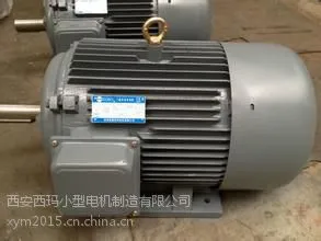 供应三相异步电机Y200L2-2