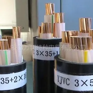 BPGVFP2��Ƶ��ר�õ������� ��������