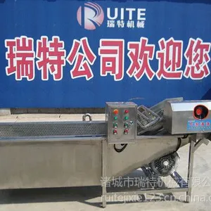 供应304不锈钢辣椒清洗机价格报价,蚕豆鼓泡清洗机