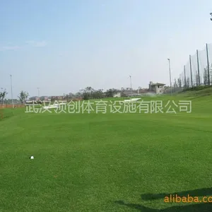 供应高尔夫工程设计、施工及维护/高尔夫场地造型、喷灌及专业草坪