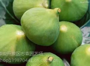 ũ���Լ�Ǥ���޻���Ʒ�� �޻����۸�