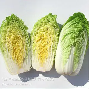 ��Ӧ�������ڽ�-���޲�����