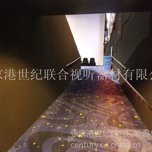 ��Ӧ��ӰԺ��ë��ȼǽ̺