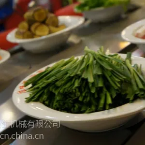 福建自动旋转火锅设备供应商新瀚生连锁店***厂家