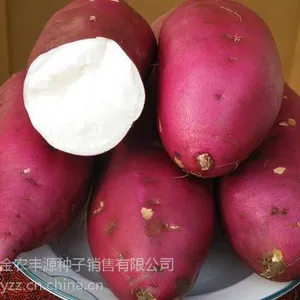 �ع����ӵع������Ԥ������