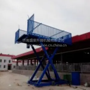大型养殖场专用卸车设备卸猪台 装猪台