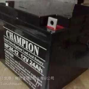 供应广东 NP24-12 12V/24AH 铅酸免维护UPS蓄电池