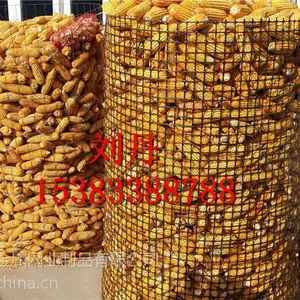 安平力拓供应塑料土工格栅 150g-400g 可当天发货
