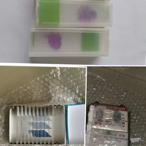 广州DHL邮寄病理切片到美国加拿大当天航班时效快