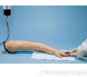成人静脉注射及穿刺手臂模型 LF00698U