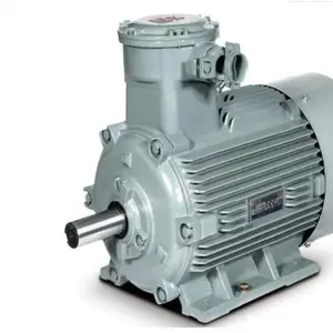 �����ӱ��õ�����������͵��2�������ֻ�1MT0001-355M-220KW