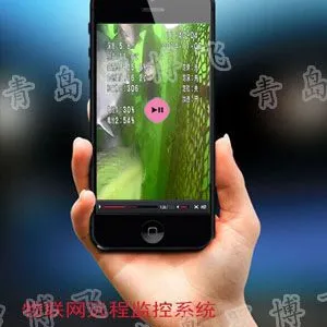 物联网网箱远程监控系统厂家,实现水产养殖自动化,远程监控网箱养殖