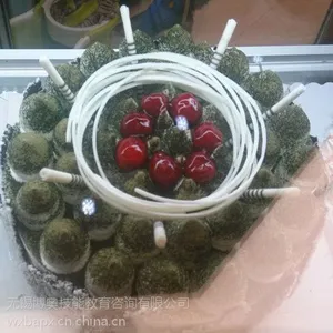 无锡新区西点培训中心
