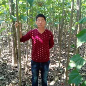太康李军苗木种植专业合作社