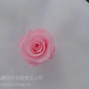 永生花批发 云南永生花批发 永生花玫瑰批发