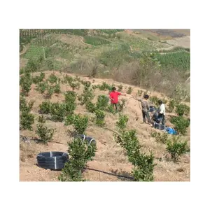 山地柑橘滴灌工程设计 滴灌工程施工 滴灌工程安装报价