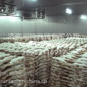 供应济南润***冷-冻肉库