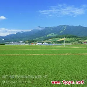 害虫性诱智能测报系统