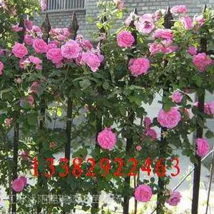 �����ٱ��¼����ؼ۸��Ż�