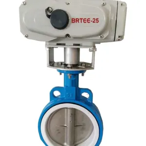 电动四氟蝶阀、电动对夹四氟不锈钢蝶阀、BD971FP-1.6C